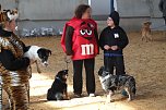 Hundesport und Faschingskost&uuml;m (Foto: nnz)
