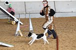 Hundesport und Faschingskost&uuml;m (Foto: nnz)