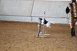Hundesport und Faschingskost&uuml;m (Foto: nnz)