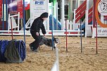 Hundesport und Faschingskost&uuml;m (Foto: nnz)