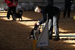 Hundesport und Faschingskost&uuml;m (Foto: nnz)