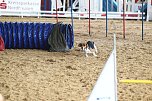 Hundesport und Faschingskost&uuml;m (Foto: nnz)