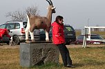 Hundesport und Faschingskost&uuml;m (Foto: nnz)