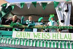 Rosenmontagsumzug (Foto: Karl-Heinz Herrmann)