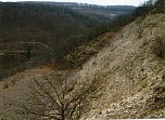 Der auflässige Kalksteinbruch der Feuerkuppe (Foto: Archiv Rasemann) Der auflässige Kalksteinbruch der Feuerkuppe (Foto: Archiv Rasemann)