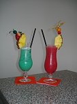 Barmixer-Kurs (Foto: privat) Barmixer-Kurs (Foto: privat)