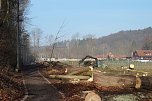 150 f&uuml;r einen (Foto: S. Winter)