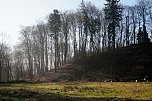 150 f&uuml;r einen (Foto: S. Winter)