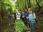 Dritte Waldjugendrallye (Foto: Hans-G&uuml;nter Nebelung)