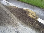 Einsatz auf der Bundesstra&szlig;e (Foto: privat)