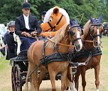 Ponyfest in W&uuml;lfingerode (Foto: Berti Voigt)
