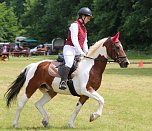 Ponyfest in W&uuml;lfingerode (Foto: Berti Voigt)