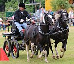 Ponyfest in W&uuml;lfingerode (Foto: Berti Voigt)