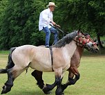 Ponyfest in W&uuml;lfingerode (Foto: Berti Voigt)