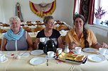  Sommerfest im HOC (Foto: HOC Sondershausen)