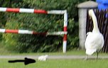 Das ist mein Revier (Foto: privat)