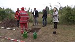Wasserretter im Einsatz (Foto: Angelo Glashagel)