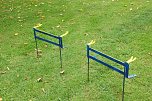 Vorbereitungen sind angelaufen (Foto: Michael Randel)