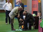 Messe noch bis Sonntag (Foto: nnz)