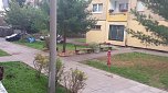 Aktionsgruppe Bleicherode wieder unterwegs (Foto: Aktionsgruppe Bleicherode)