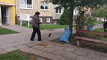Aktionsgruppe Bleicherode wieder unterwegs (Foto: Aktionsgruppe Bleicherode)