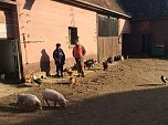Wir k&ouml;nnen die Welt nicht retten aber ein wenig besser machen - der Diakonie Hilfstransport in Rum&auml;nien (Foto: Michael G&ouml;rk)