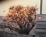 Weihnachtliche Stimmung in Benneckenstein (Foto: Karin Lehmann)