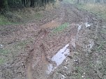 100 Kilometer von Halle nach Nordhausen (Foto: privat)