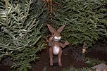 Weihnachtsmarkt in Leipzig (Foto: Karin Lehmann, Peter Blei)