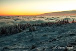 Auf dem Brocken (Foto: Sven Tetzel)