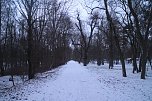 Der Winter ist zur&uuml;ck in Nordhausen (Foto: Angelo Glashagel)
