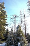 Neujahr auf dem Brocken (Foto: Peter Blei)