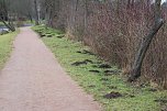 Maulwurfsinvasion im Schlosspark Sondershausen? (Foto: Karl-Heinz Herrmann)