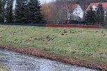 Maulwurfsinvasion im Schlosspark Sondershausen? (Foto: Karl-Heinz Herrmann)