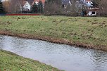 Maulwurfsinvasion im Schlosspark Sondershausen? (Foto: Karl-Heinz Herrmann)