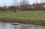 Maulwurfsinvasion im Schlosspark Sondershausen? (Foto: Karl-Heinz Herrmann)