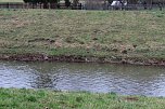Maulwurfsinvasion im Schlosspark Sondershausen? (Foto: Karl-Heinz Herrmann)