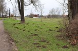 Maulwurfsinvasion im Schlosspark Sondershausen? (Foto: Karl-Heinz Herrmann)