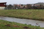 Maulwurfsinvasion im Schlosspark Sondershausen? (Foto: Karl-Heinz Herrmann)