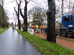 Parkallee überflutet (Foto: nnz) Parkallee überflutet (Foto: nnz)