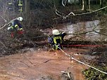 Einsatz bei P&uuml;tzlingen (Foto: Feuerwehr Liebenrode)