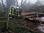 Einsatz bei P&uuml;tzlingen (Foto: Feuerwehr Liebenrode)