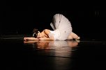20 Jahre Tanzstudio Radeva - eine Erfolgsgeschichte (Foto: privat)
