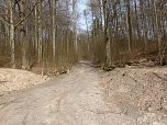 So sieht es im Naturschutzgebiet aus (Foto: privat)