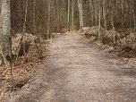 So sieht es im Naturschutzgebiet aus (Foto: privat)