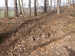 So sieht es im Naturschutzgebiet aus (Foto: privat)