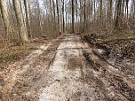 So sieht es im Naturschutzgebiet aus (Foto: privat)