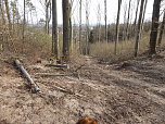 So sieht es im Naturschutzgebiet aus (Foto: privat)