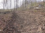 So sieht es im Naturschutzgebiet aus (Foto: privat)