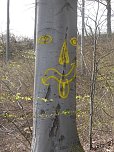 So sieht es im Naturschutzgebiet aus (Foto: privat)